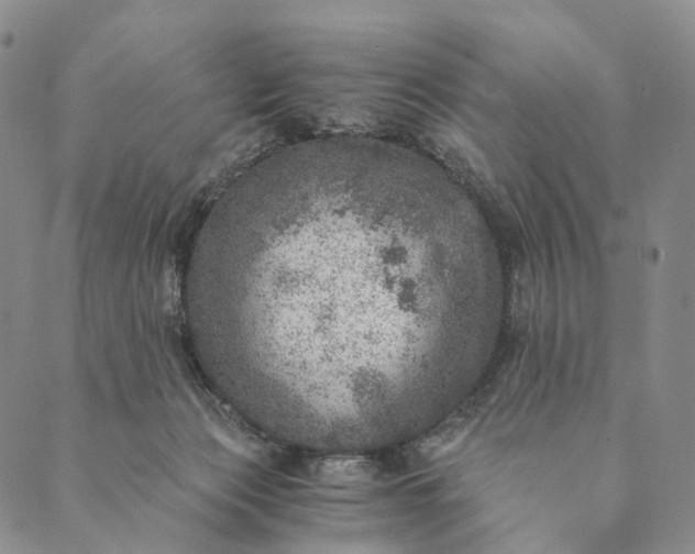 X0000089970173200707131432