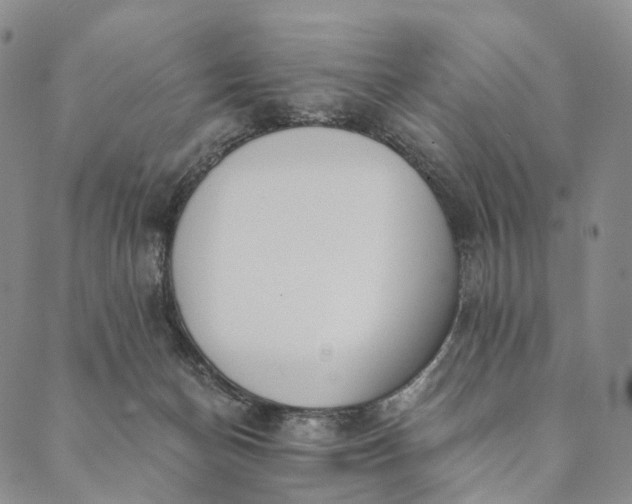 X0000089970174200707131432