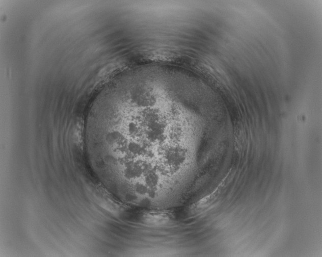 X0000089970175200707131432