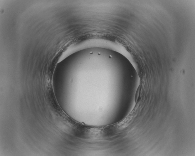 X0000089970176200707131432