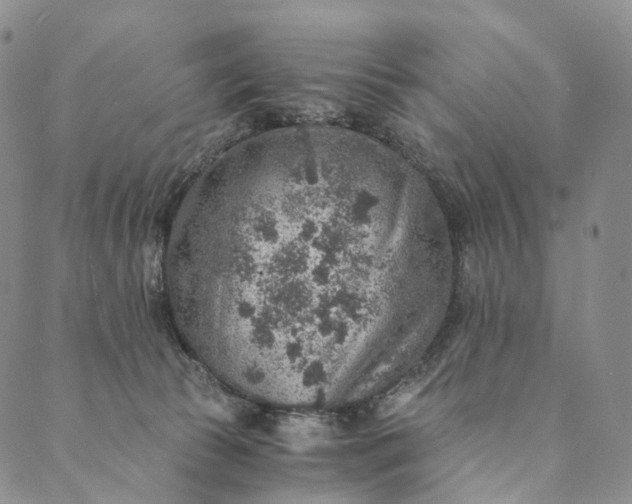 X0000089970177200707131432