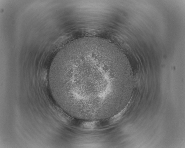 X0000089970178200707131432