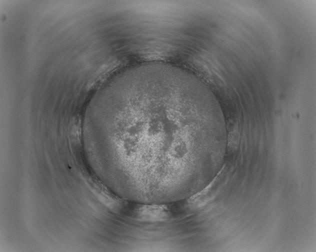 X0000089970179200707131432