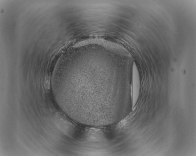 X0000089970180200707131432