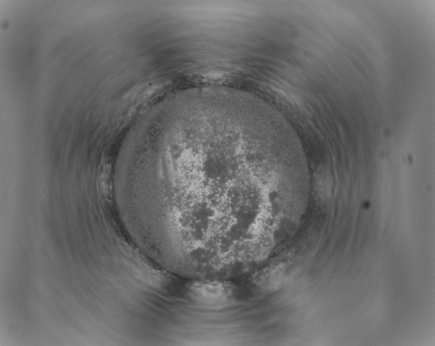 X0000089970181200707131432