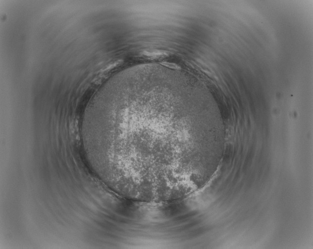 X0000089970182200707131432