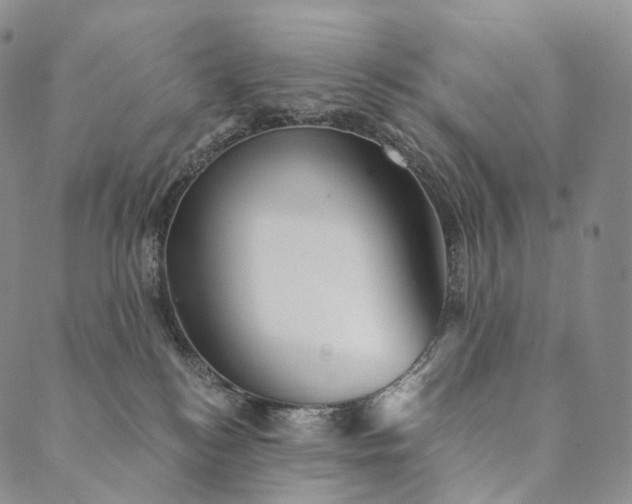 X0000089970184200707131432