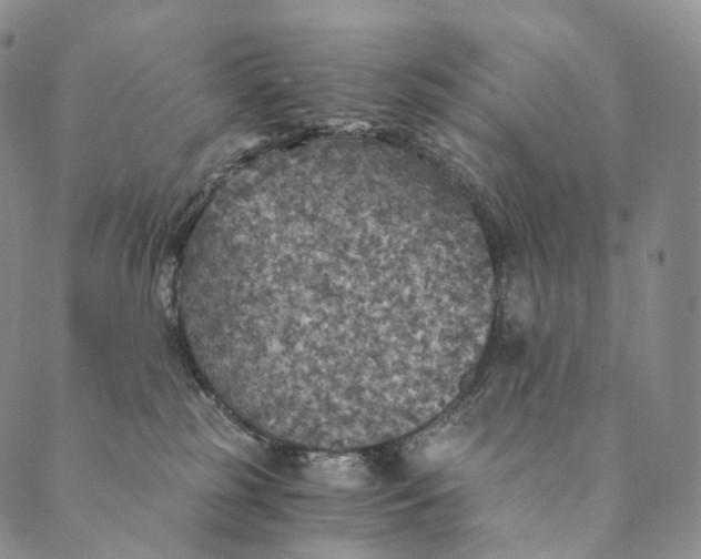 X0000089970185200707131432