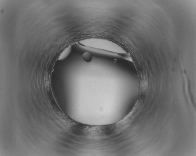 X0000089970186200707131432