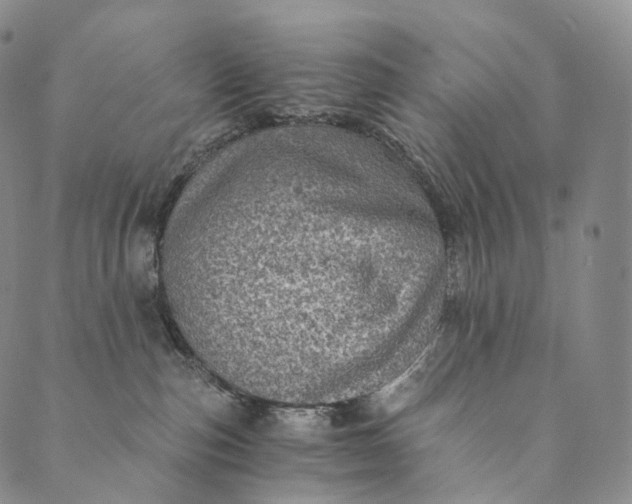 X0000089970187200707131432