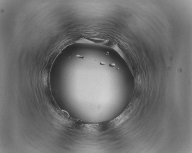 X0000089970188200707131432