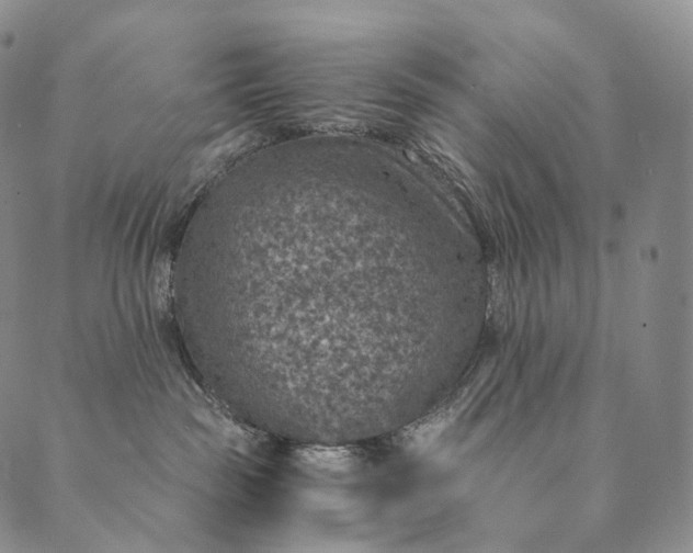 X0000089970189200707131432