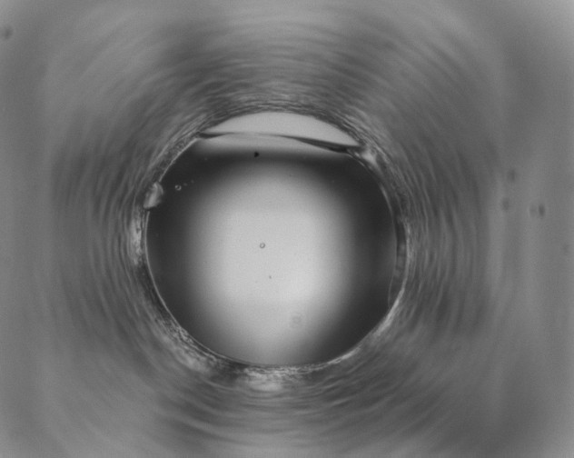 X0000089970190200707131432