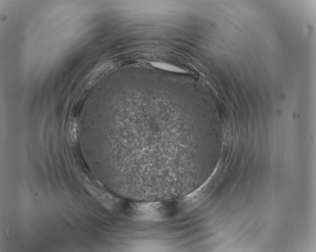 X0000089970191200707131432