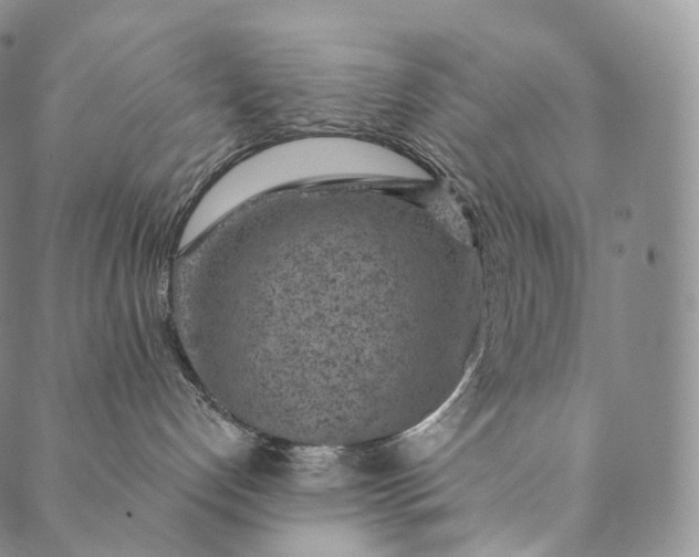 X0000089970192200707131432