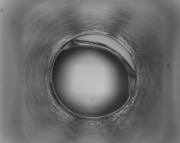 X0000089970193200707131431