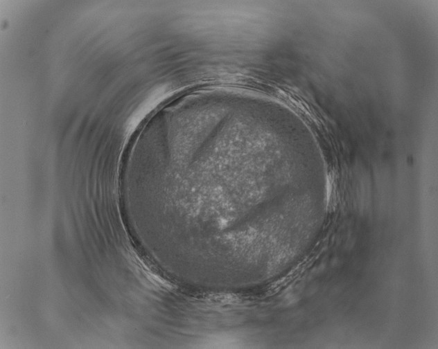 X0000089970195200707131431