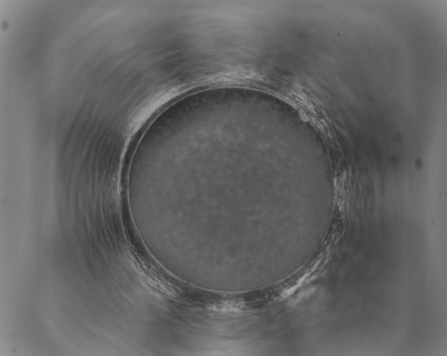 X0000089970196200707131431