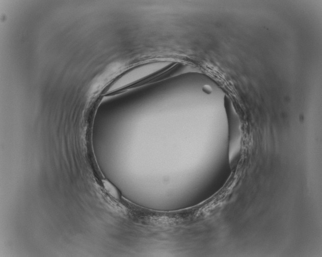 X0000089970197200707131431