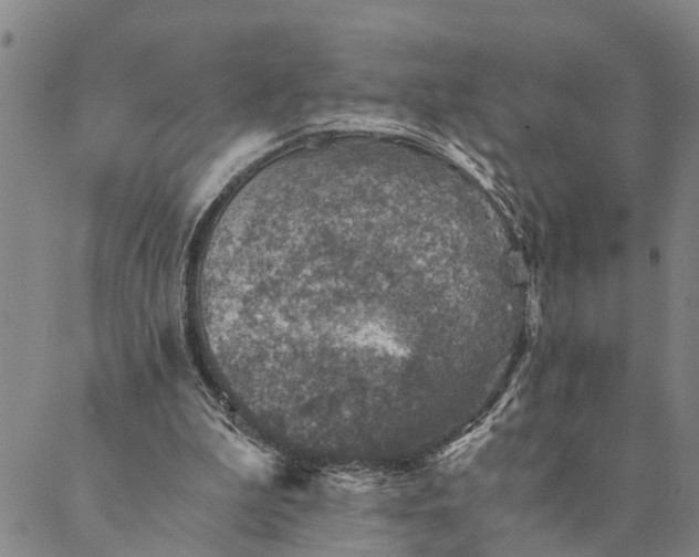 X0000089970199200707131431