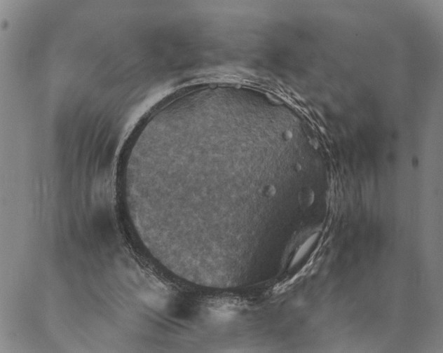 X0000089970200200707131431