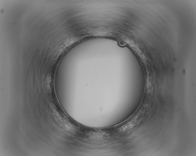 X0000089970201200707131431