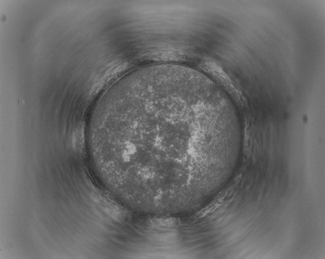 X0000089970202200707131431