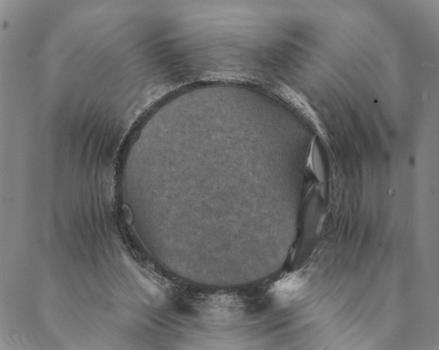 X0000089970204200707131431