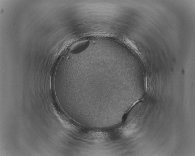 X0000089970205200707131431