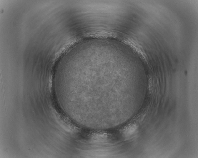 X0000089970206200707131431