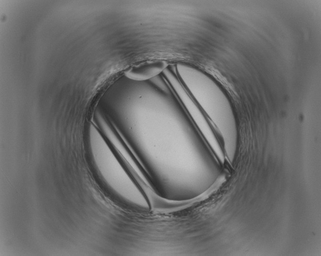 X0000089970207200707131431