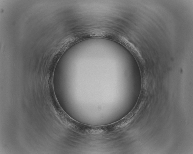 X0000089970209200707131431