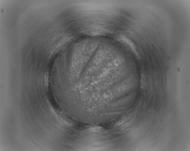 X0000089970210200707131431