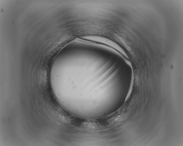 X0000089970211200707131431