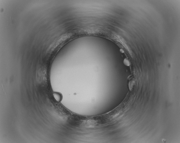 X0000089970212200707131431