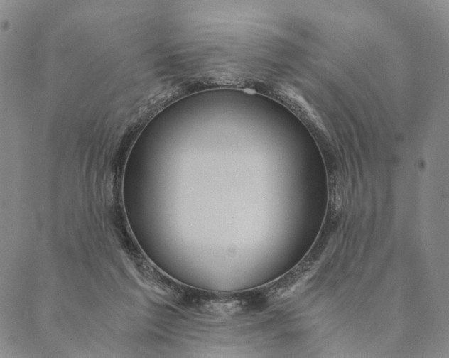 X0000089970213200707131431