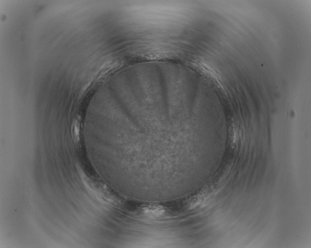 X0000089970214200707131431