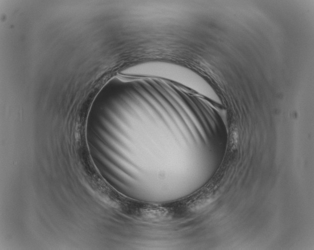 X0000089970215200707131431