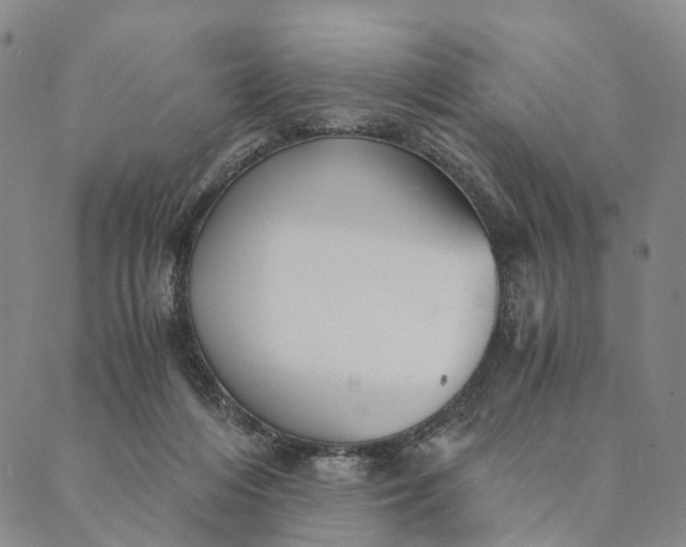 X0000089970216200707131431