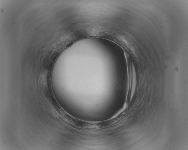 X0000089970217200707131431