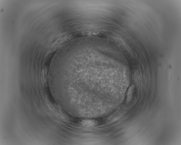 X0000089970218200707131431