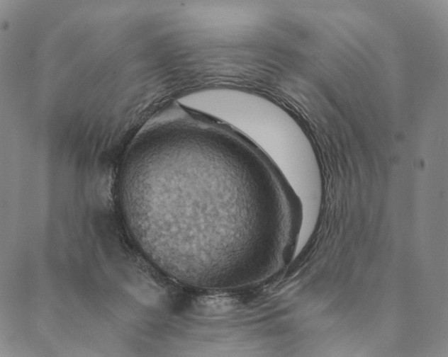 X0000089970219200707131431