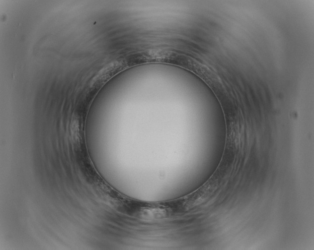 X0000089970220200707131431