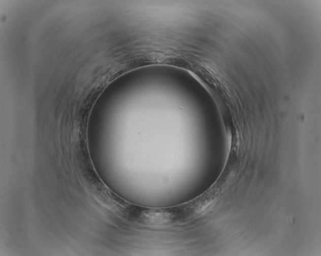 X0000089970221200707131431