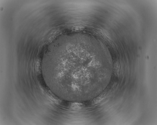 X0000089970222200707131431