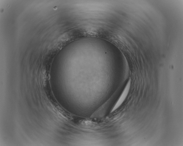 X0000089970223200707131431