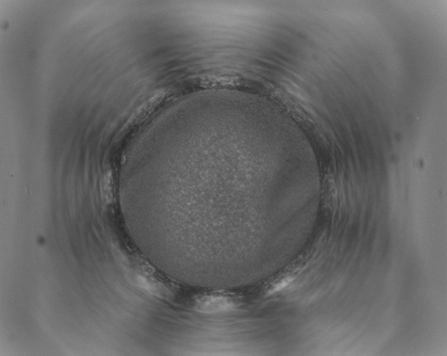 X0000089970224200707131431