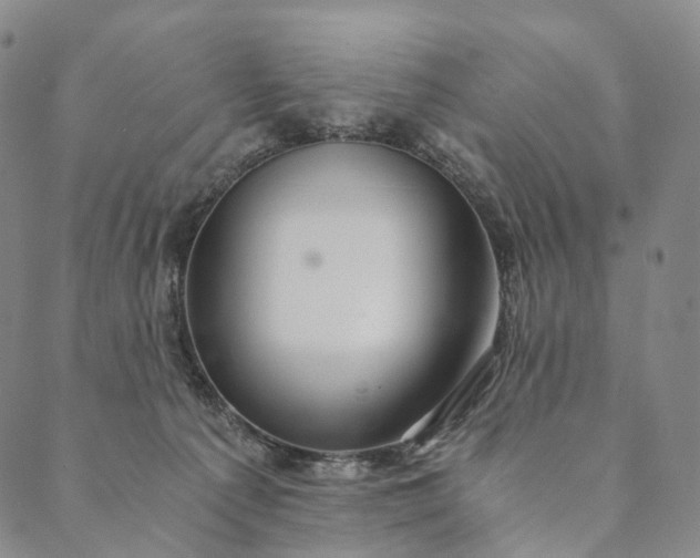 X0000089970225200707131431