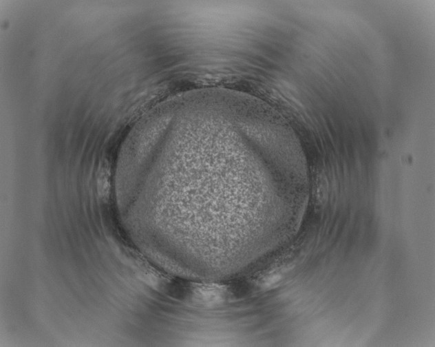 X0000089970226200707131431