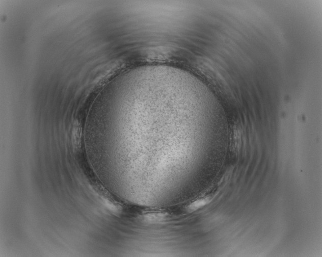 X0000089970228200707131431